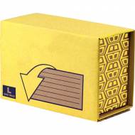 Fellowes 7274302. Pack de 10 Cajas Postales Extra Resistentes - Grande