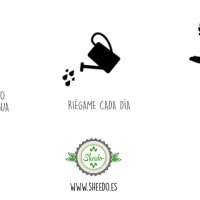 SHEEDO Tarjeta plantable - Gracias no dejes de florecer