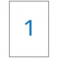 APLI 11787. 100 hojas A4 etiquetas extrafuertes (210,0 X 297,0 mm.)