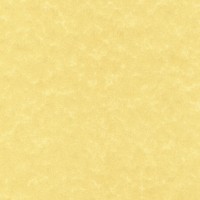 APLI PCL1600. Papel A4 de 95 gr. Textura Pergamino Oro  (100 Hojas)