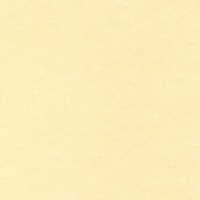APLI SCL2058. Papel A4 de 95 gr. Textura Pergamino Champán  (25 Hojas)