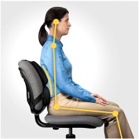 Fellowes 8041801. Cojín lumbar ergonómico Professional Series