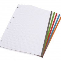 GRAFOPLÁS 88100054. Pack 2 carpetas de anillas con goma CarpeBook Multiline A4. Color fucsia