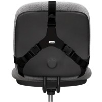 Fellowes 8041801. Cojín lumbar ergonómico Professional Series