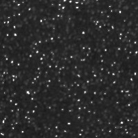 GRAFOPLAS 68000310. Pack 5 láminas de Goma Eva purpurina de 20 x 30 cm. Color negro