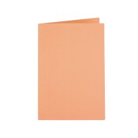 Liderpapel subcarpetas tamaño folio 180 g/m2 colores. Paquete de 50